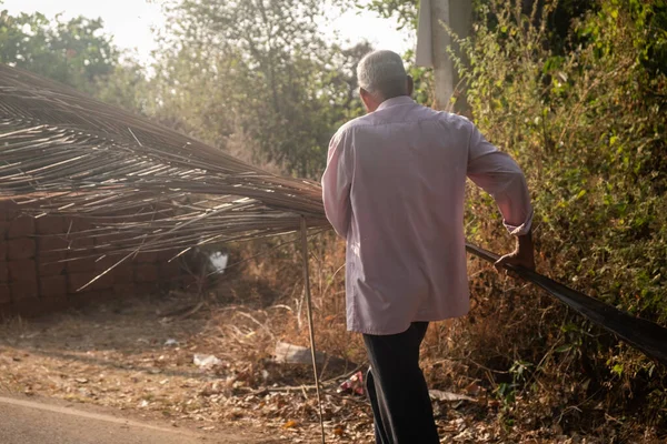 Indian Man Carrying Dry Palm Trees Goa — Stock Photo, Image