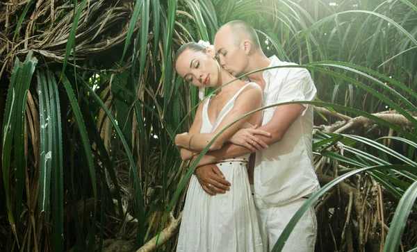 Historia de amor en la selva — Foto de Stock