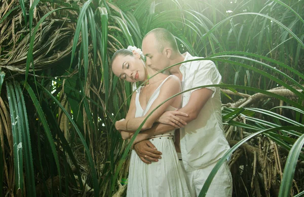 História de amor na selva — Fotografia de Stock