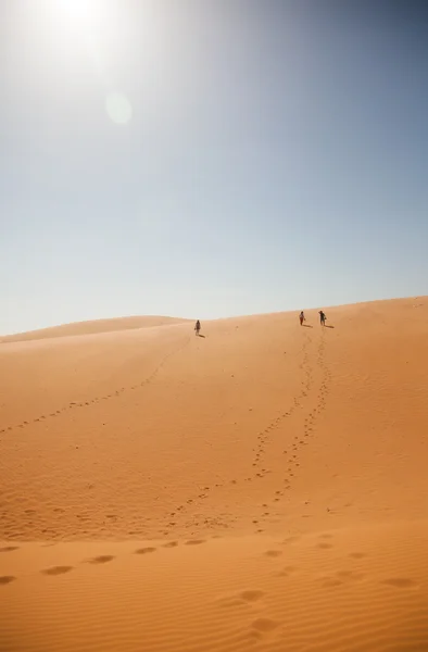 रेगिस्तान में यात्री — स्टॉक फ़ोटो, इमेज