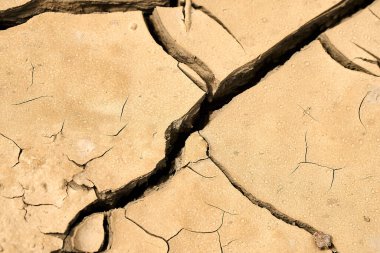 Toprak kuru ve çatlamış, kuraklığın etkilerini gösteriyor. Yüzeyde su eksikliğini gösteren açık çizgiler ve çatlaklar var..