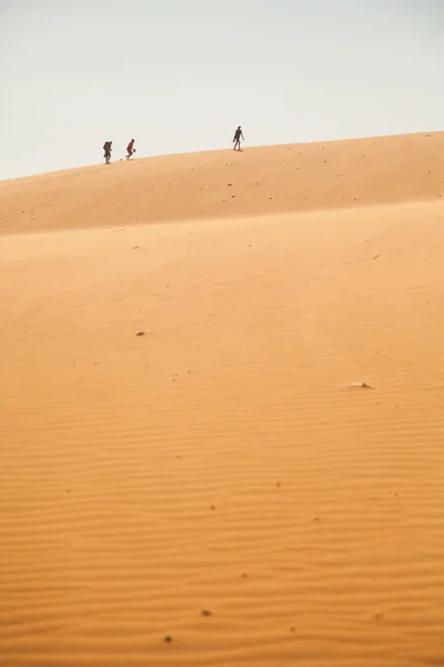 Le voyageur dans le désert Photo De Stock