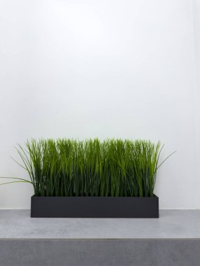 Yemyeşil, canlı yapay otlarla dolu şık bir kara saksı. Çağdaş ofis ya da konut alanları için mükemmel. Sakinleştirici, doğal bir his yaratır.