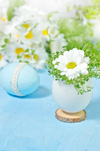 Camomile in eggs shell. Shallow depth of field, focus on near fl — Stock Photo, Image