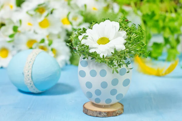 Camomile in eggs shell. Shallow depth of field, focus on near fl — Stock Photo, Image