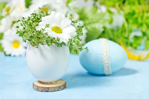 Camomile in eggs shell. Shallow depth of field, focus on near fl — Stock Photo, Image