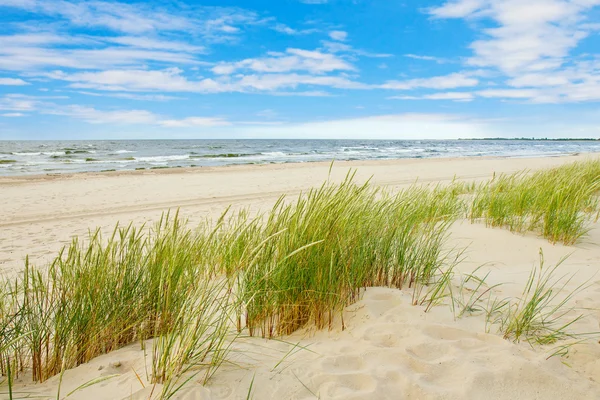 Grass sand dune beach sea view, Sobieszewo Baltic Sea, Poland — Stock Photo, Image