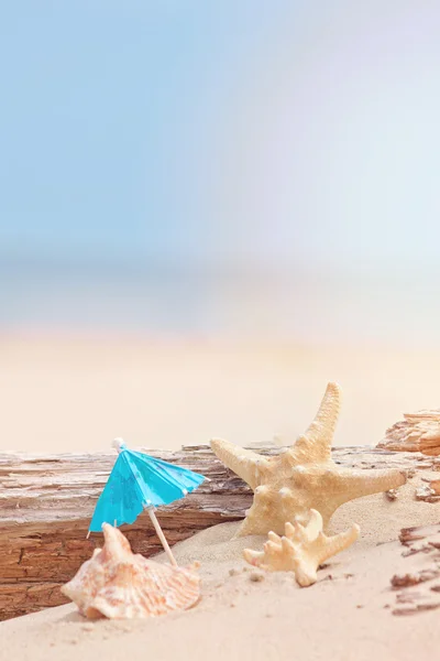 Vacaciones de verano en la playa — Foto de Stock