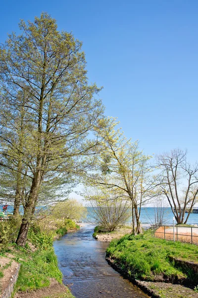 Spring in Orlowo, Poland — Stock Photo, Image