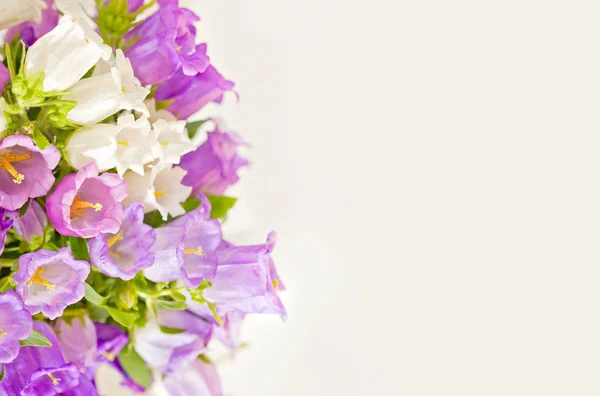 Όμορφα λουλούδια φόντο με campanula μπουκέτο. — Φωτογραφία Αρχείου