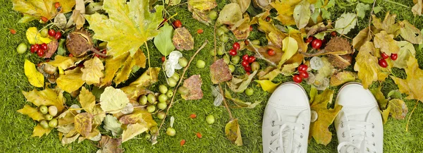 Vita sneakers i gräset täckt med falla lövverk — Stockfoto