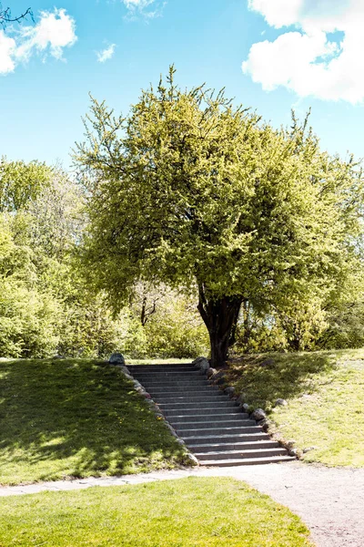 Frühlingsgrüner Park Stadtpark Mit Wegen Frischem Rasen Und Bäumen — Stockfoto