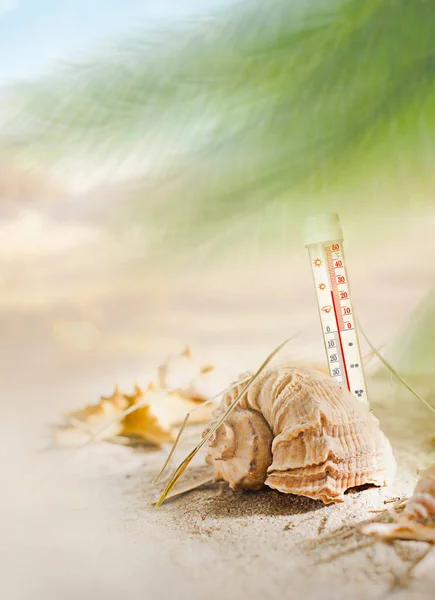 Zomer Strand Thermometer Vrije Ruimte Voor Tekst Rechtenvrije Stockafbeeldingen