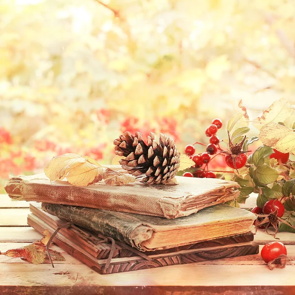 Alte Bücher, Blätter und Zapfen in herbstlicher Landschaft — Stockfoto