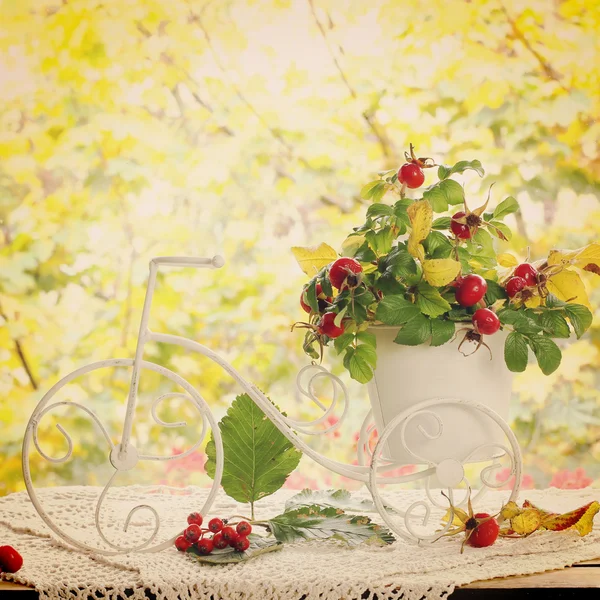 Herfst decoratie in vintage stijl — Stockfoto