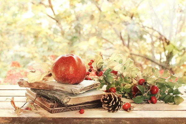 Alte Bücher, Blätter und Äpfel in herbstlicher Landschaft — Stockfoto