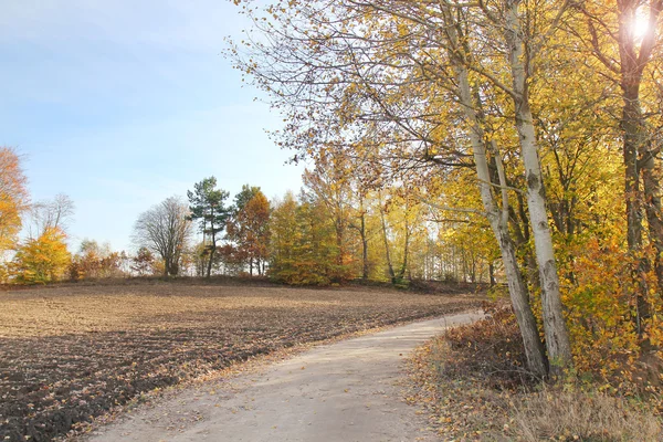 Paesaggio rurale di campi coltivati e cielo in autunno — Foto Stock