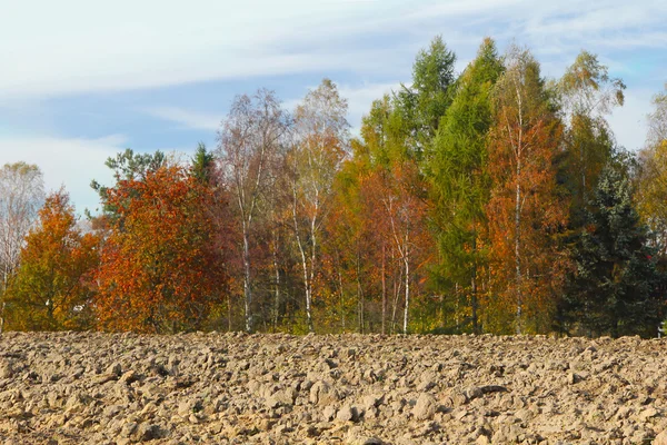 Bäuerliche Landschaft mit bestellten Feldern und Himmel im Herbst — Stockfoto