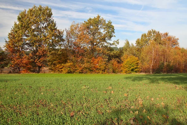 Herbstliche Landschaft — Stockfoto