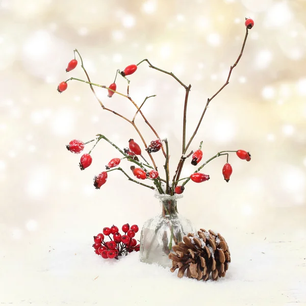 Winter Hintergrund mit roten Beeren — Stockfoto