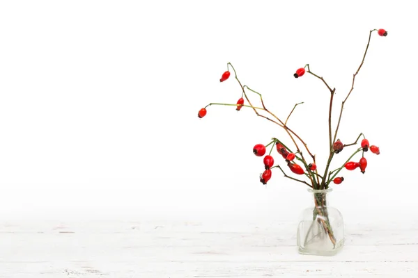 Winter background with red berries — Stock Photo, Image