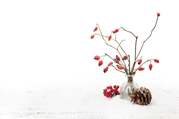 Зимний фон с красными ягодами — стоковое фото