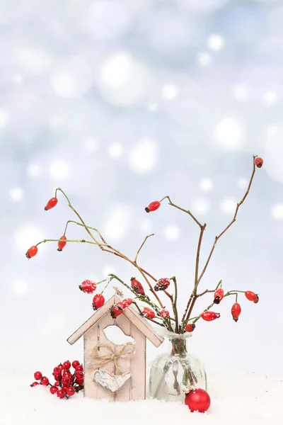 붉은 열매를 맺는 겨울철 배경 — 스톡 사진