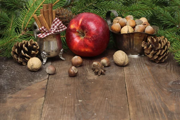 Chistmas složení s skořicí, oříšky a jedlové větve. — Stock fotografie