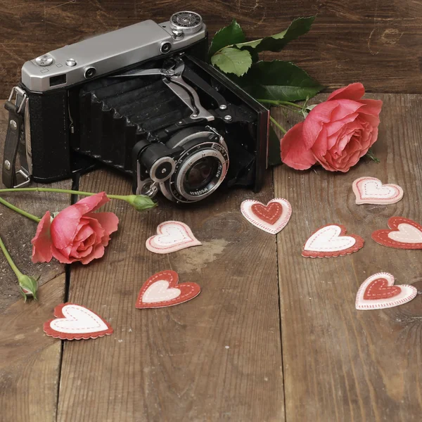 Vintage fotocamera e rose — Foto Stock