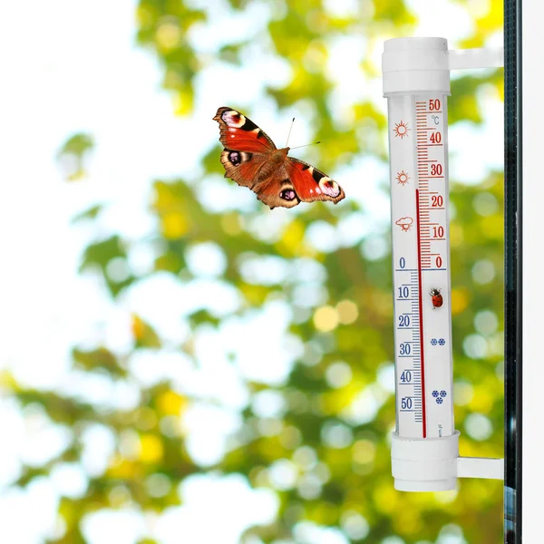 Termometr wiosna — Zdjęcie stockowe