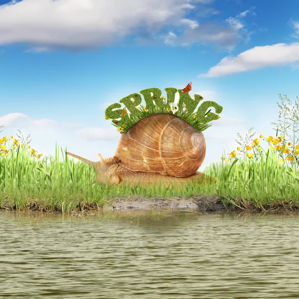 Voorjaar achtergrond met slak en de tekst "lente" — Stockfoto