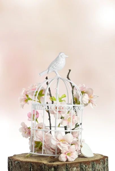 Flores de primavera en jaula de aves —  Fotos de Stock
