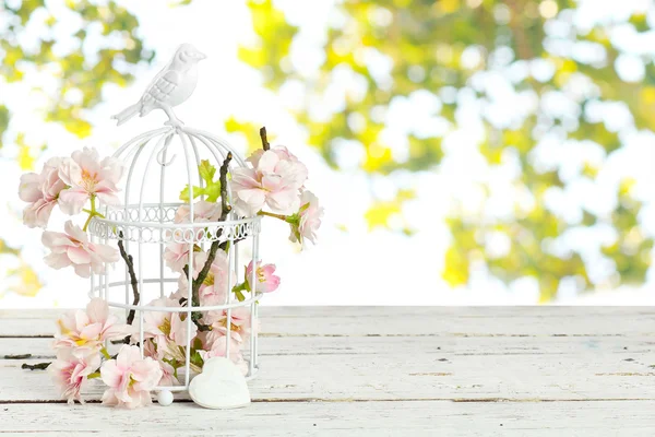 Flores de primavera em gaiola de pássaro — Fotografia de Stock