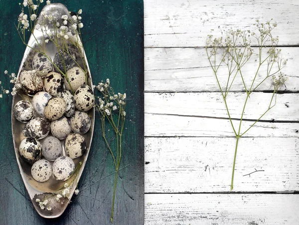 Composición pascual de huevos de codorniz — Foto de Stock