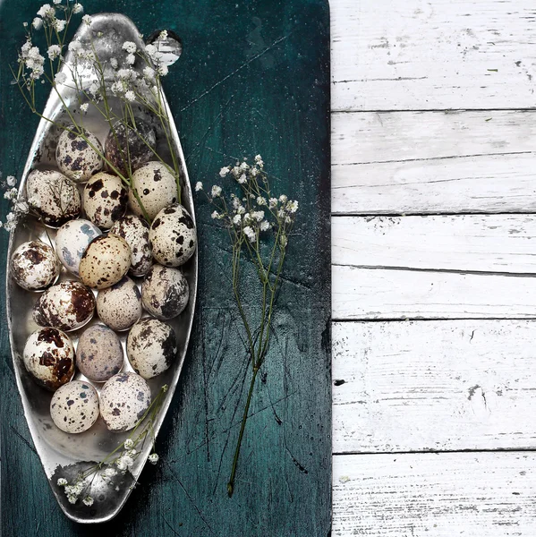 Easter composition of quail eggs — Stock Photo, Image