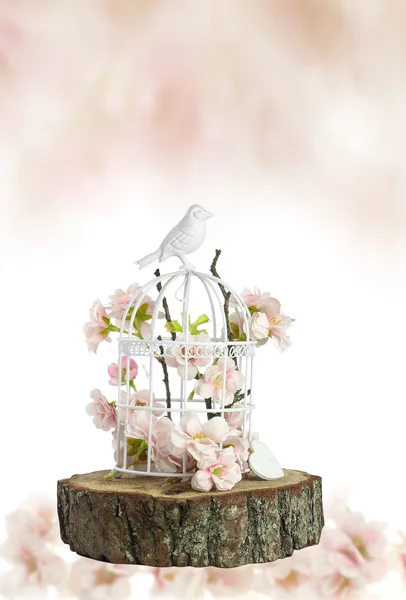 Spring flowers in  birdcage — Stock Photo, Image