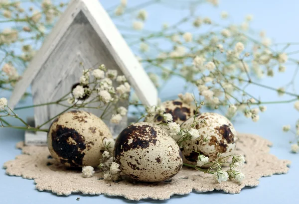 Easter composition of quail eggs — Stock Photo, Image