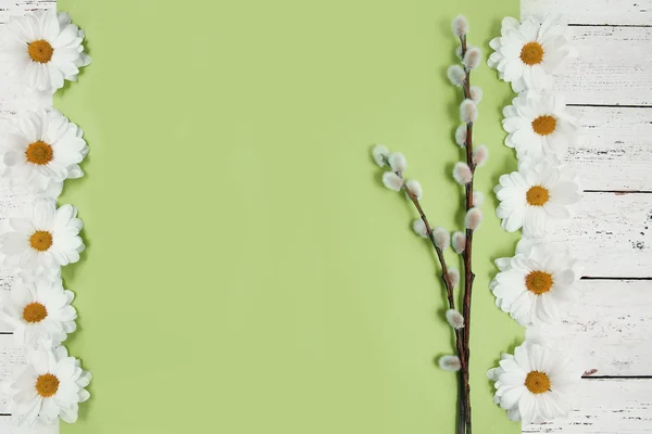 Spring flowers and pussy willow twigs on wood background — Stock Photo, Image