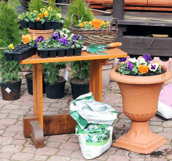 Attrezzi di giardinaggio all'aperto e fiori — Foto Stock