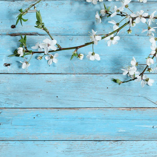 Blumen auf Holzgrund — Stockfoto