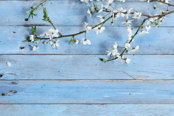 Flores sobre fondo de madera — Foto de Stock