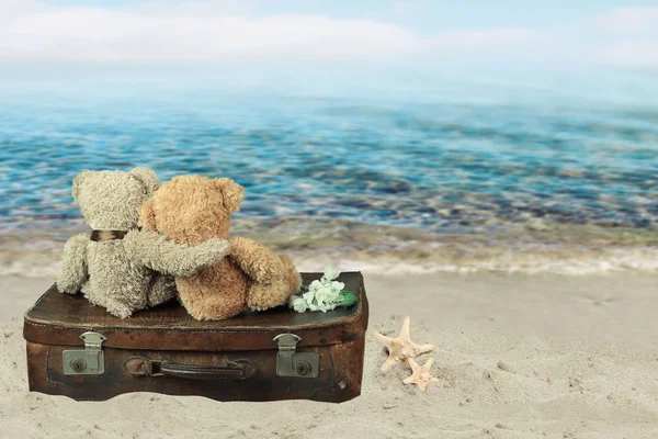 Dos osos de peluche enamorados se sientan en una maleta. concepto de vacaciones — Foto de Stock