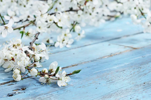 Almuerzo de árbol floreciente con flores blancas sobre fondo de madera azul —  Fotos de Stock