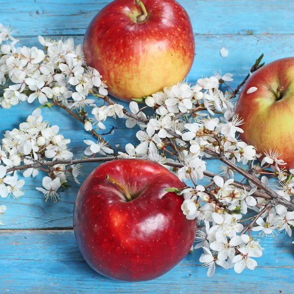 Apfelblüten und reife rote Äpfel auf blauem Holzhintergrund — Stockfoto