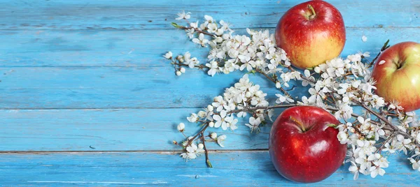 Apfelblüten und reife rote Äpfel auf blauem Holzhintergrund — Stockfoto