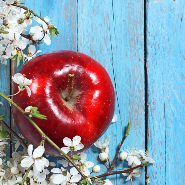 Λουλούδια μήλου και ώριμα κόκκινα μήλα σε μπλε φόντο ξύλινη — Φωτογραφία Αρχείου