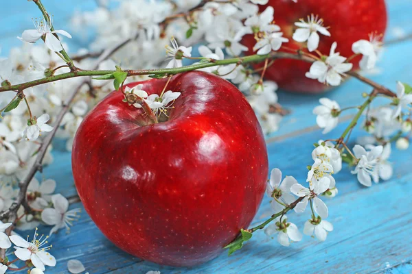 Apple flowers and ripe red apples on blue wooden background — Stock Photo, Image