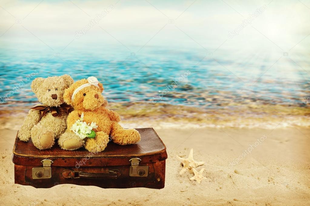 two love teddy bears