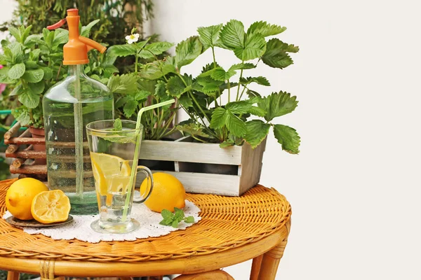 Домашній лимонад зі свіжими цитрусами — стокове фото