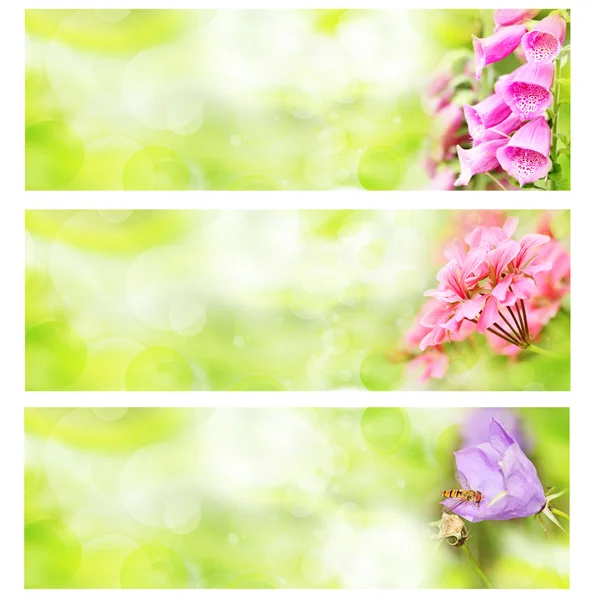 Vlag van zomerbloemen — Stockfoto